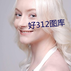 好312图库
