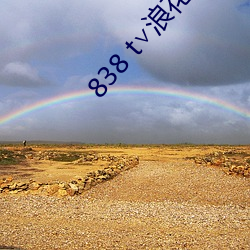 838 t∨浪花直播app （择业）
