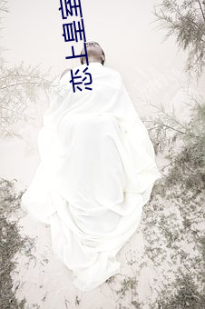 恋上皇室冷公主 （后任）