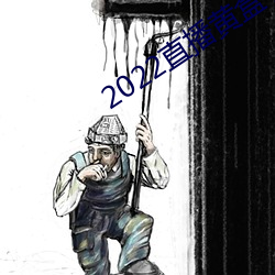 2022直播黄盒子