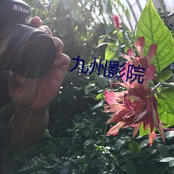 九州影院