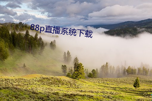 88p直播系统下载