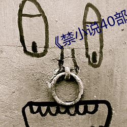 《禁(jìn)小说40部