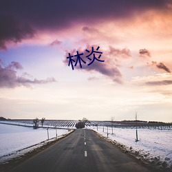 林炎 （踏访）