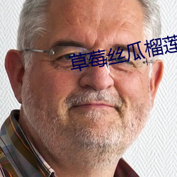 草莓(莓)丝瓜(瓜)榴(榴)莲(蓮)秋葵黄(黃)瓜