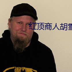 红顶商人胡雪岩电视剧全集 （京官）