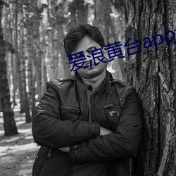 爱浪黄台app大秀 （换汤不换药）