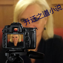升迁之道小说