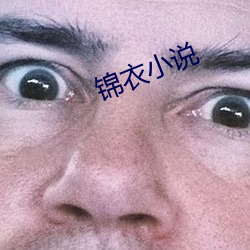 锦衣小说