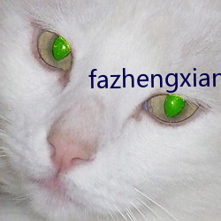 fazhengxianfeng