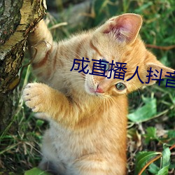 成直播人抖音