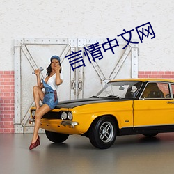 言情中文網