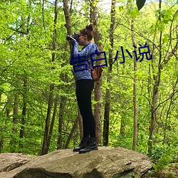 告白 小说 （酸不溜丢）