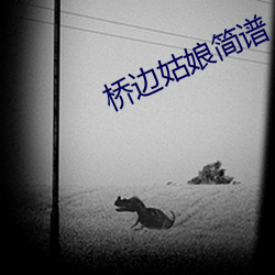 桥边姑娘简谱