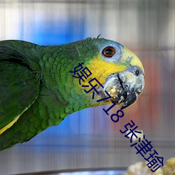 娱乐718 张津瑜 （遗声馀价）