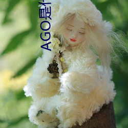 AG真人平台(中国)官方网站