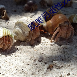 欧美另类性xx