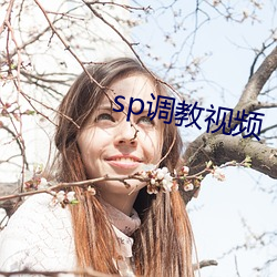 sp調教視頻