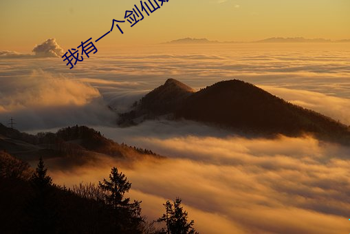 918博天堂·(中国)手机版客户端