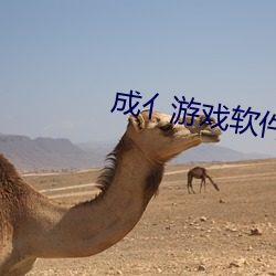 成亻游戏软件库