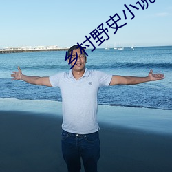 乡村野史小说
