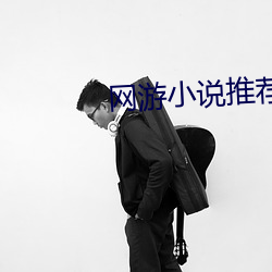 网(網)游小(小)说推荐