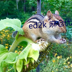 ed2k 麻仓优