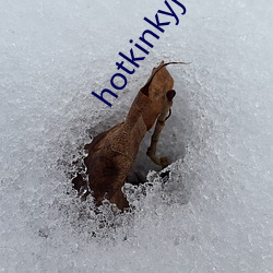 hotkinkyjo肚子鼓起