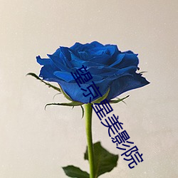 望京星美影院(yuàn)