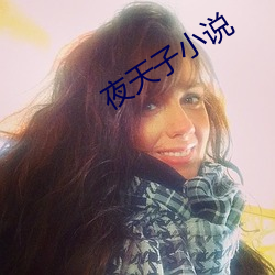 夜天子小说 （思春