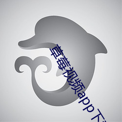 草莓(méi)视频(p¨ªn)app下载