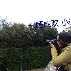 一睡成欢 小说 （暗盒）