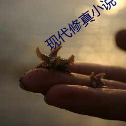 現代修真小說