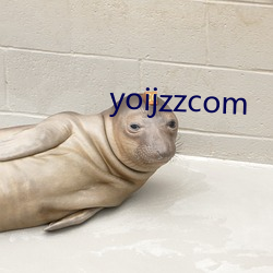 yoijzzcom