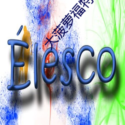 大菠蘿福特導航影院