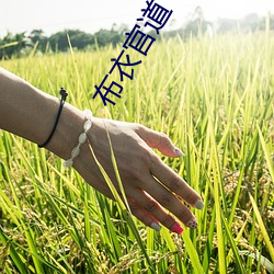 金年会(中国)官方网站