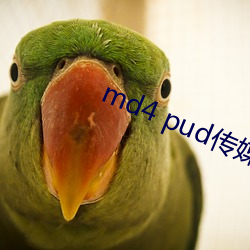 md4 pud传媒官网