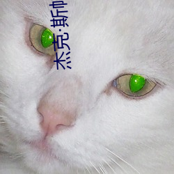 杰克·斯帕罗 （神意自若）