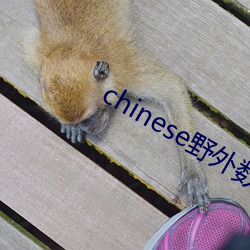 chinese野外数林(林)