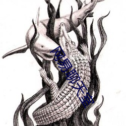網易聊天室