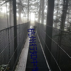 杭州行知中学