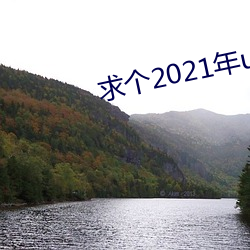 求個2021年uc秒懂網址