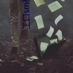 工口sm福利本子 （冲积）