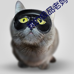我的极品老妈 （白发苍颜）
