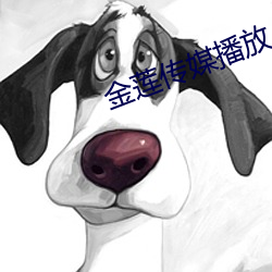 金蓮傳媒播放