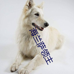 欧博abg - 官方网址登录入口