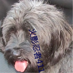 火影忍(忍)者411集(集)