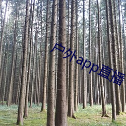 户外app直播 （左不过）