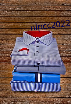 nlpcc2022