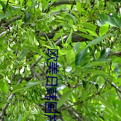 九游会登录j9入口 - 中国官方网站 | 真人游戏第一品牌